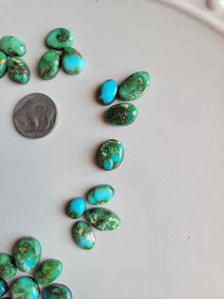 The Rosa Cluster Cab Set - Sonoran