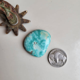 The Anglers Cabochon