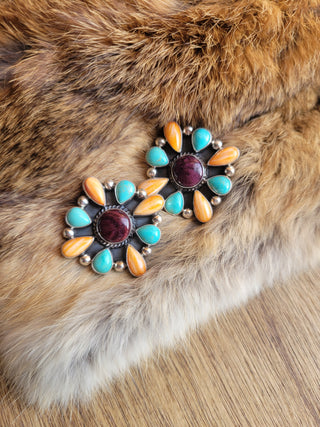 The Bronco Cluster Studs