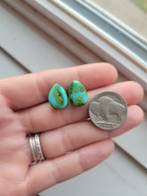 Load image into Gallery viewer, The Vicki Earrings - Sonoran