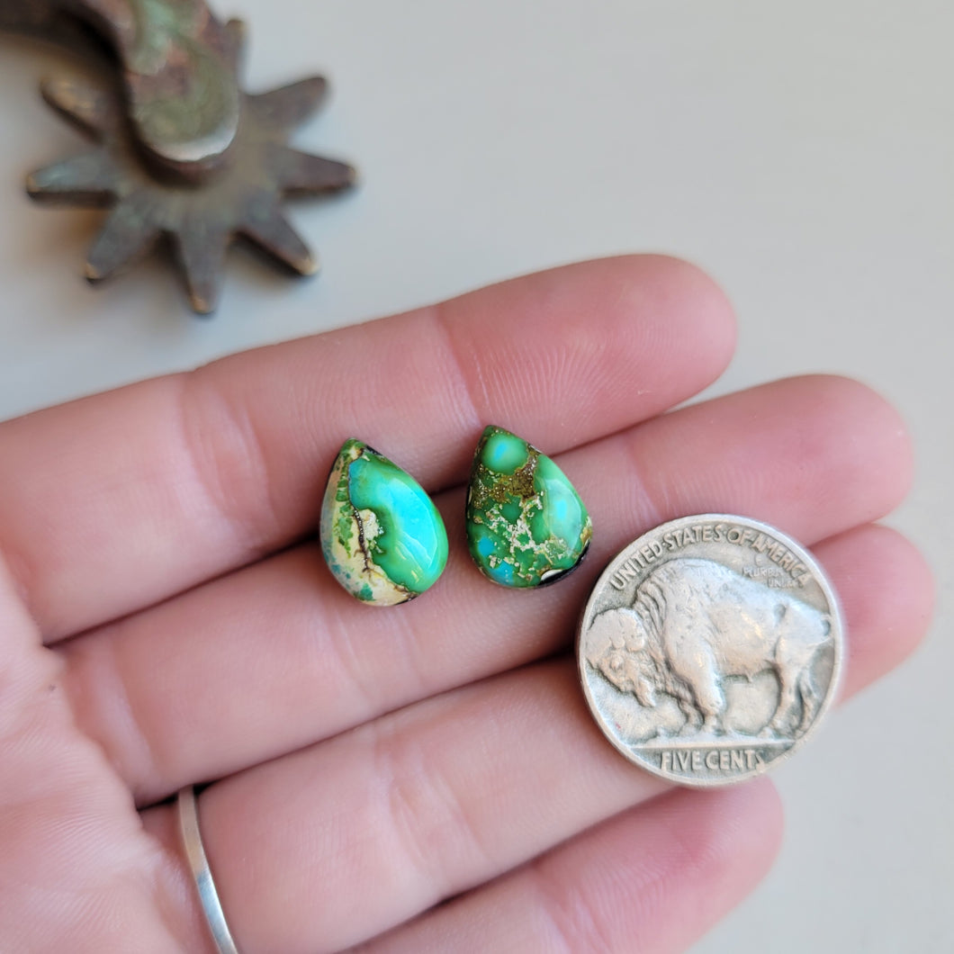 Sonoran Pair - B