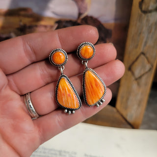 Aparna Spiny Earrrings