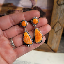 Load image into Gallery viewer, Aparna Spiny Earrrings