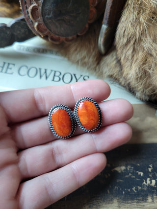 The Carmichael Studs - Orange Spiny Oyster