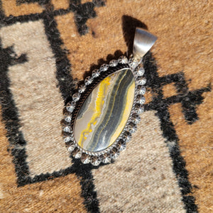 Bumblebee Jasper Tear