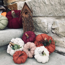 Load image into Gallery viewer, Mini Pumpkins
